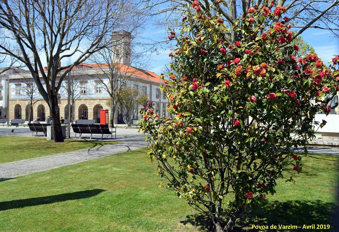 2153- Povoa de Varzim.jpg